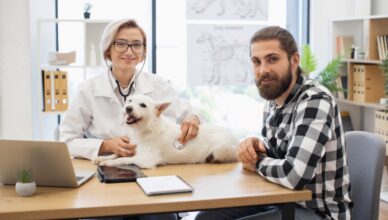 Assurance pour animaux de compagnie