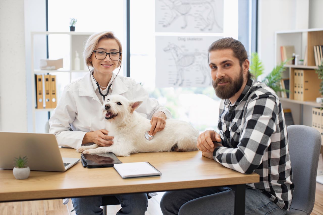 Assurance pour animaux de compagnie