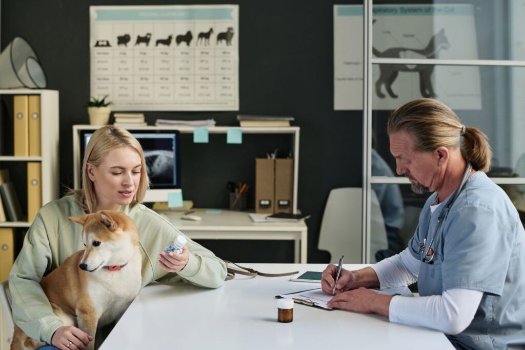 Assurance pour animaux de compagnie 