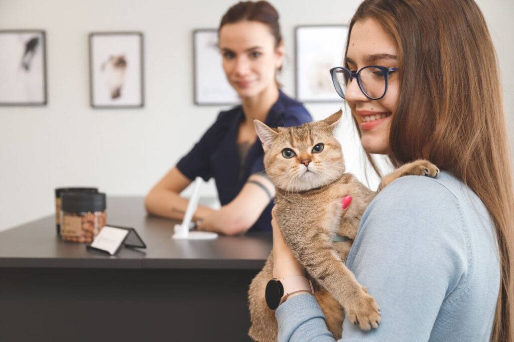Assurance pour chiens vs assurance pour chats 
