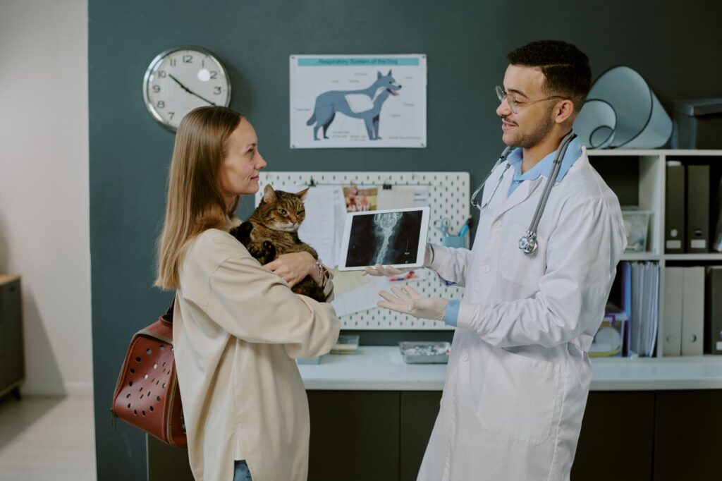 assurance pour animaux de compagnie 