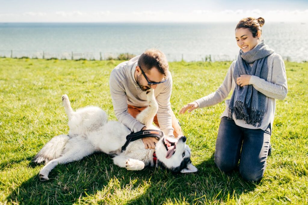 mutuelle de votre chien