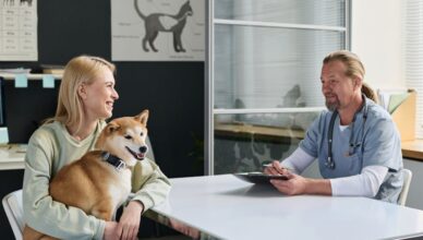 Assurance pour animaux de compagnie