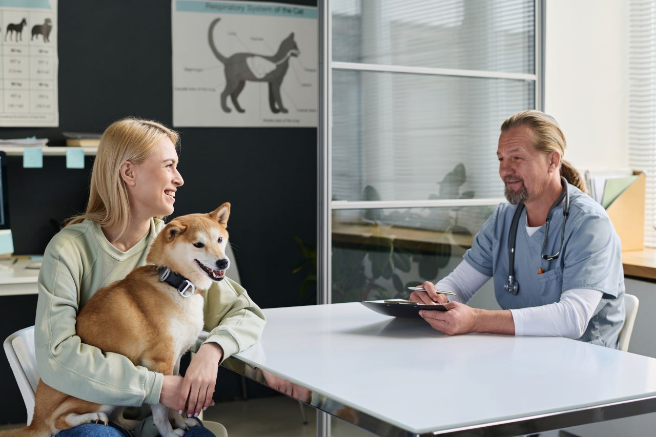 Assurance pour animaux de compagnie : un must-have