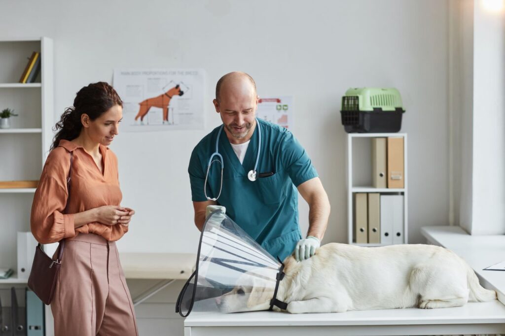 Assurance animaux
