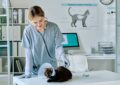 Assurance pour animaux