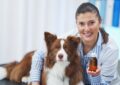 médecines alternatives pour animaux