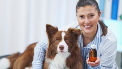 médecines alternatives pour animaux