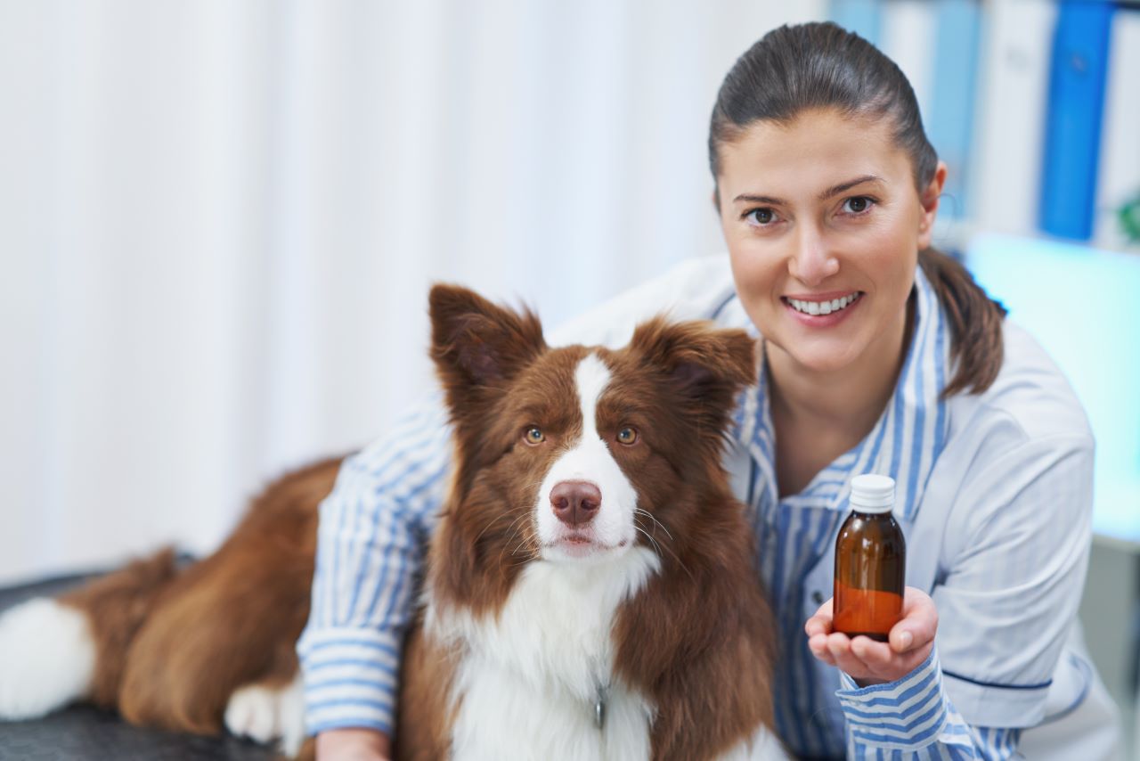 médecines alternatives pour animaux