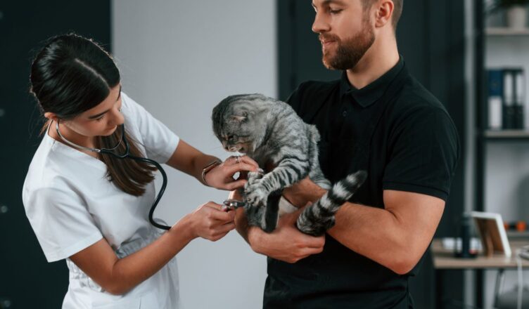 préparer son animal aux visites chez le vétérinaire
